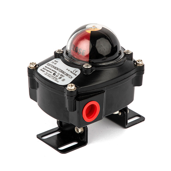 ITS100 Angular travel limit switch