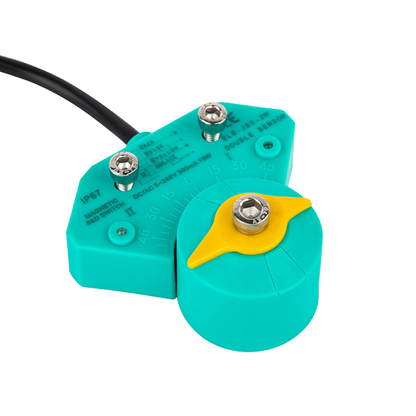 DS515 Angular travel limit switch