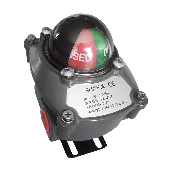 DS100 angular stroke limit switch