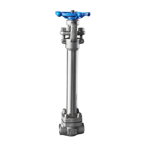 Forged steel low-temperature butt welding gate valve