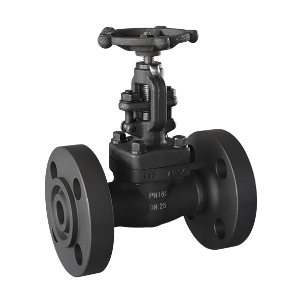 Forged steel flange globe valve