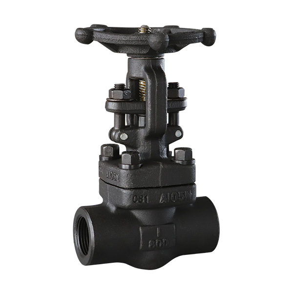 Forged steel threaded gate valve