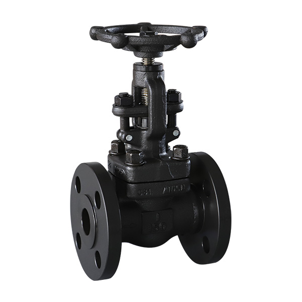 Forged steel flange globe valve