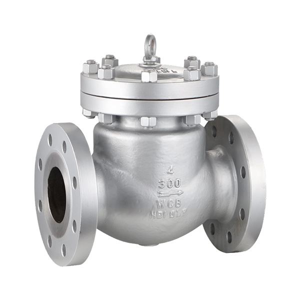 ANSI check valve