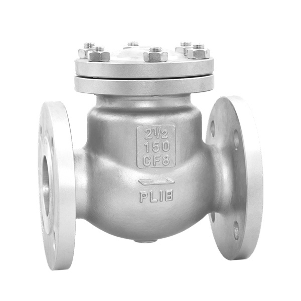 ANSI flange check valve