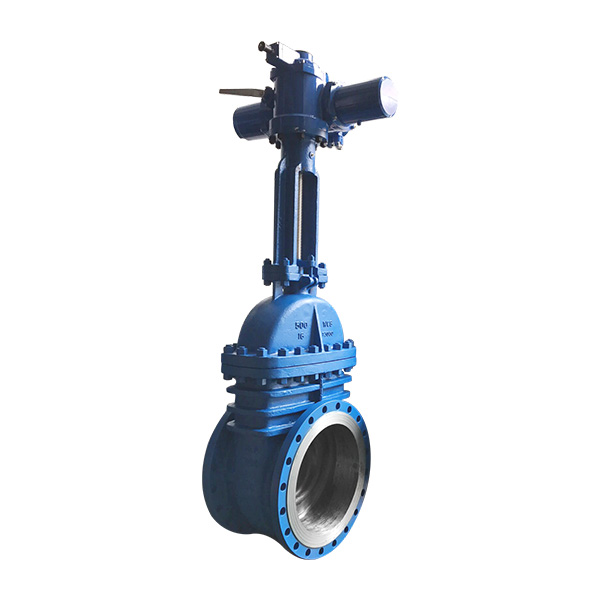 Electric ANSI gate valve