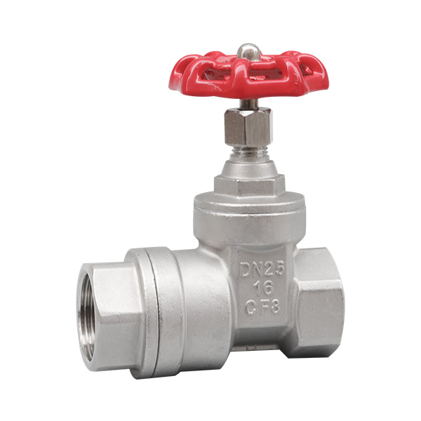 Gate valve with check valve