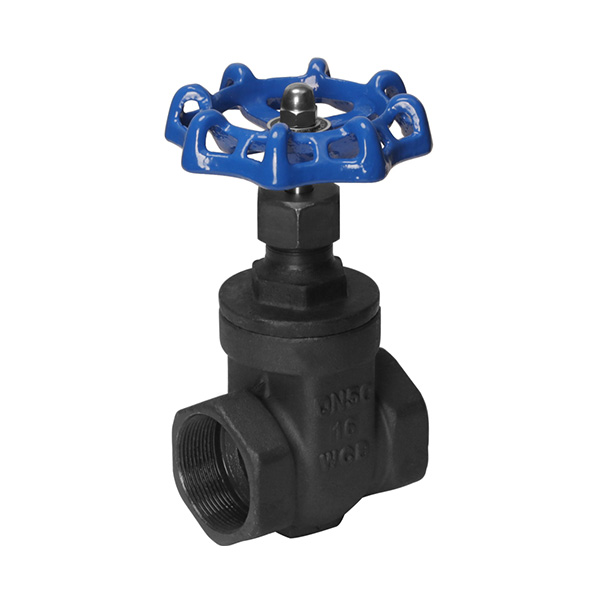 Carbon steel gate valve