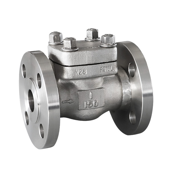 Forged steel flange check valve