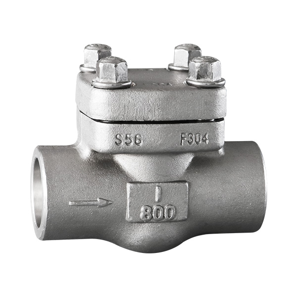 Forged steel butt welding check valve