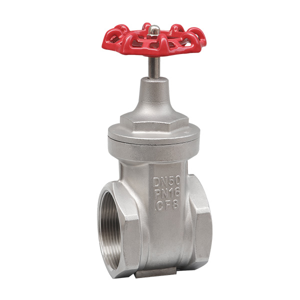 Maintenance free gate valve