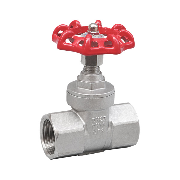 Extended gate valve