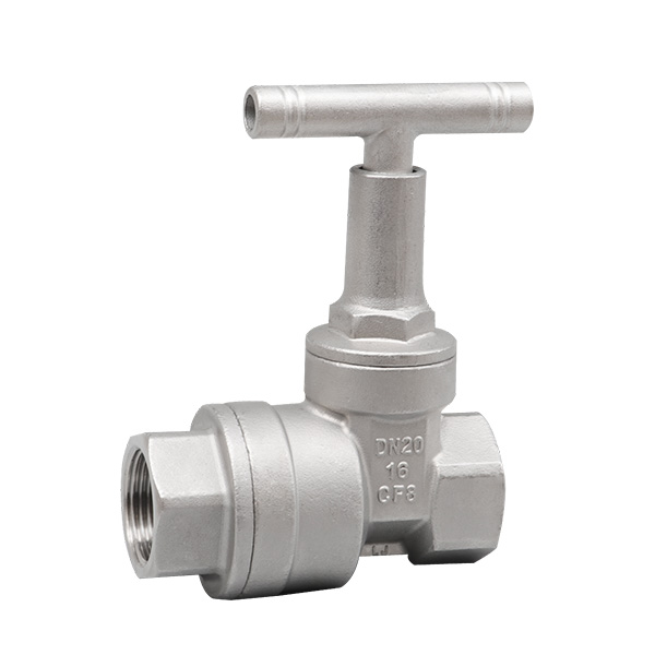 Anti theft gate valve with check valve