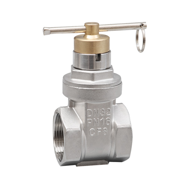 Magnetic gate valve