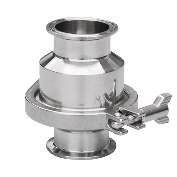 Quick install check valve