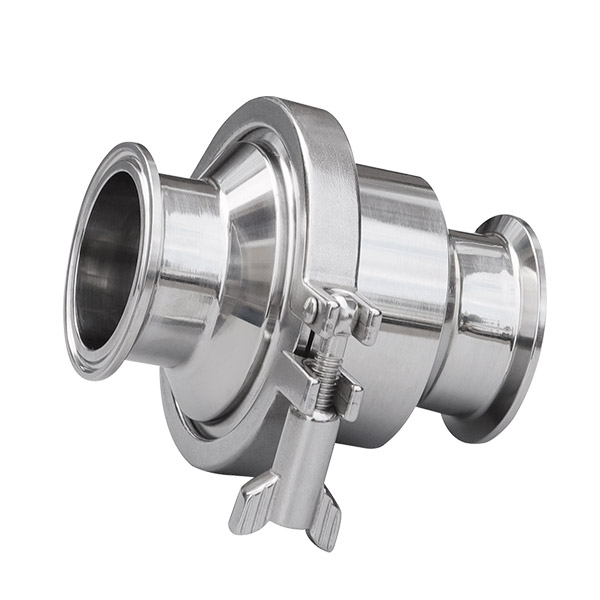 Quick install light duty check valve