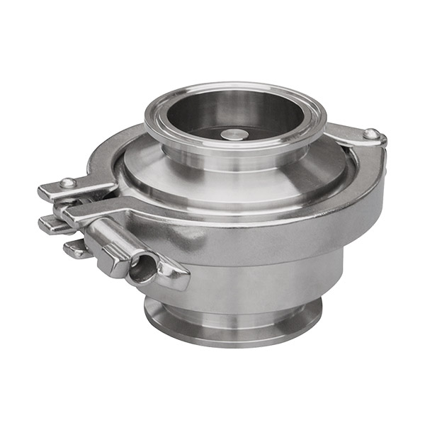 Quick install check valve