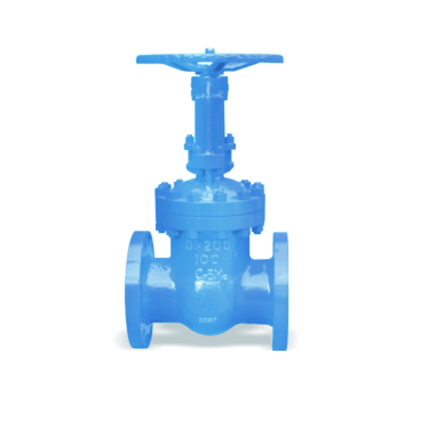 Hard sealed gate valve