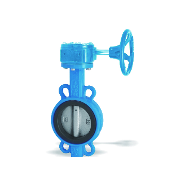 Centerline clamp butterfly valve