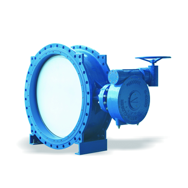 Double eccentric flange butterfly valve